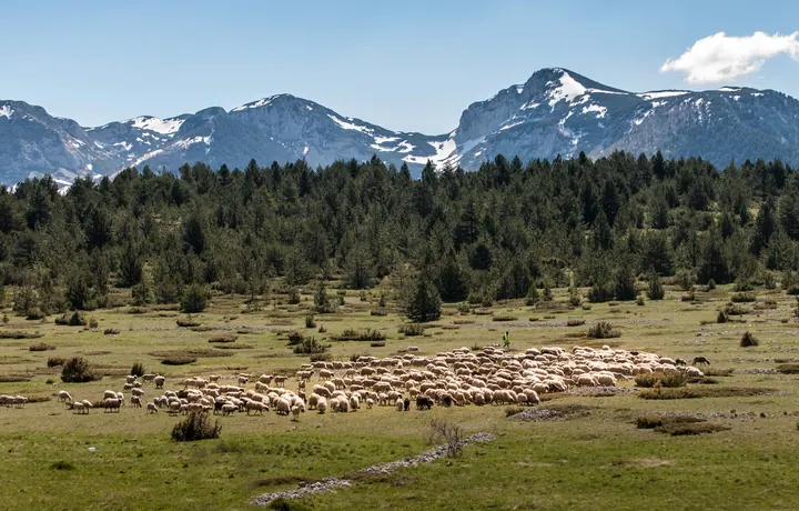 Santuari mariani dell'Erzegovina